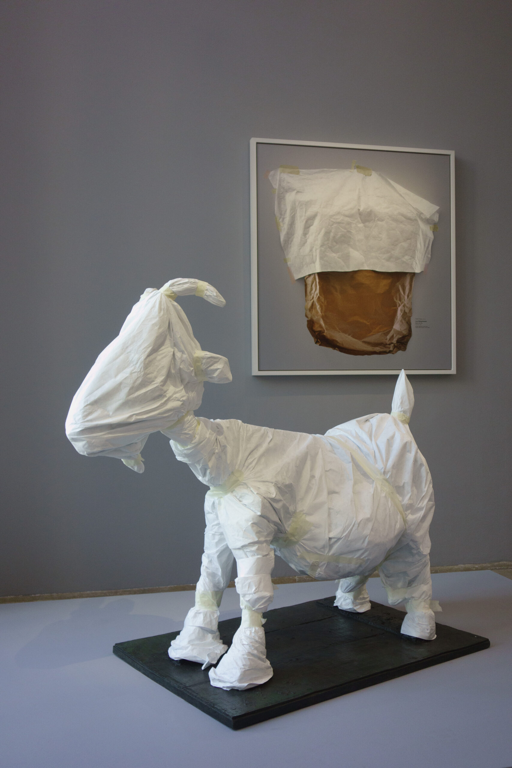 La chèvre de Picasso, version Sophie Calle